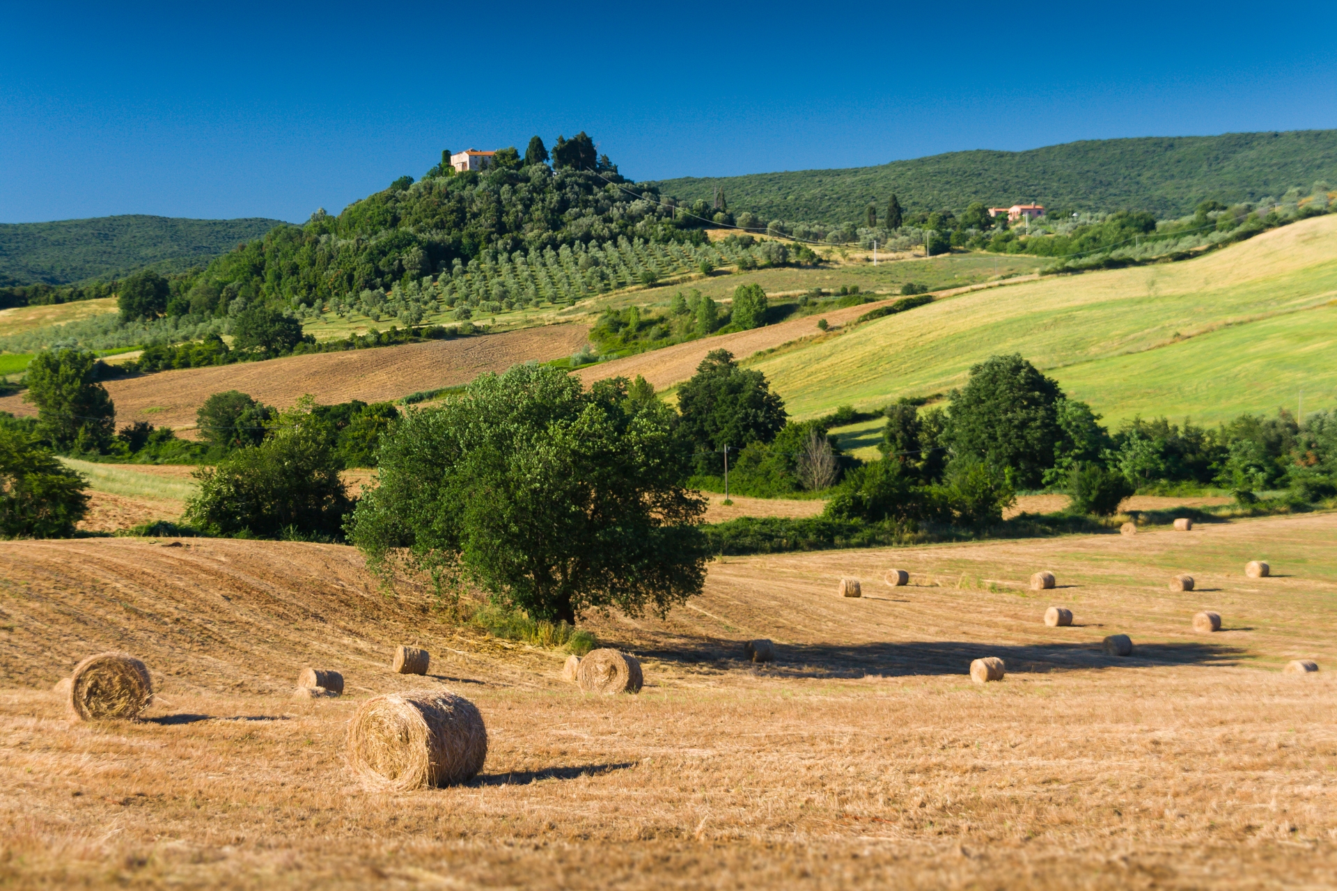 des-balles-de-foin-sur-le-champ-contre-un-ciel-degage126-09-2025 14-02-27
